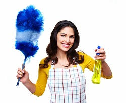 Professional House Cleaning UK