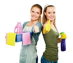 Domestic Cleaners in North London